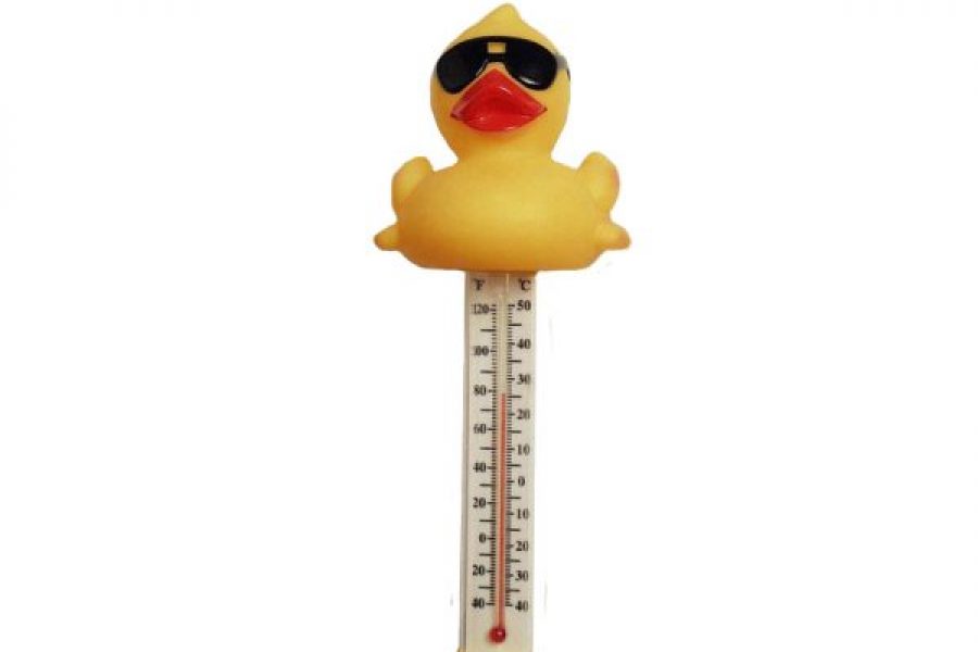 Sunny the Duck Floating Thermometer – $14.50