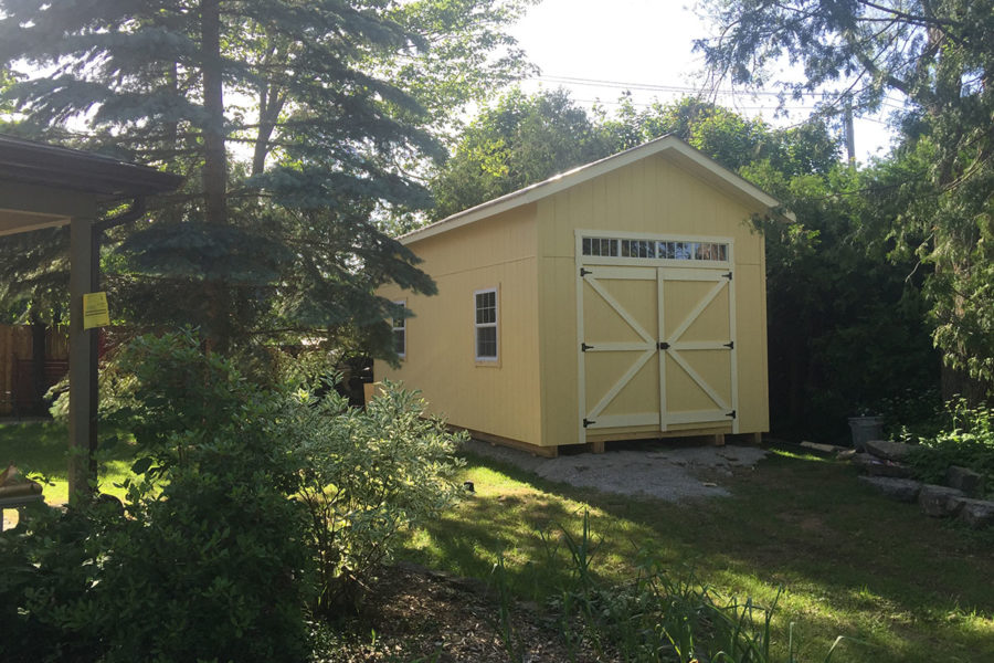 12×24 Raised Wall Shed