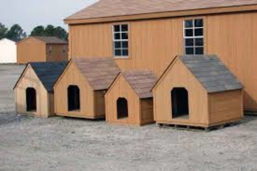 Assorted Dog Houses